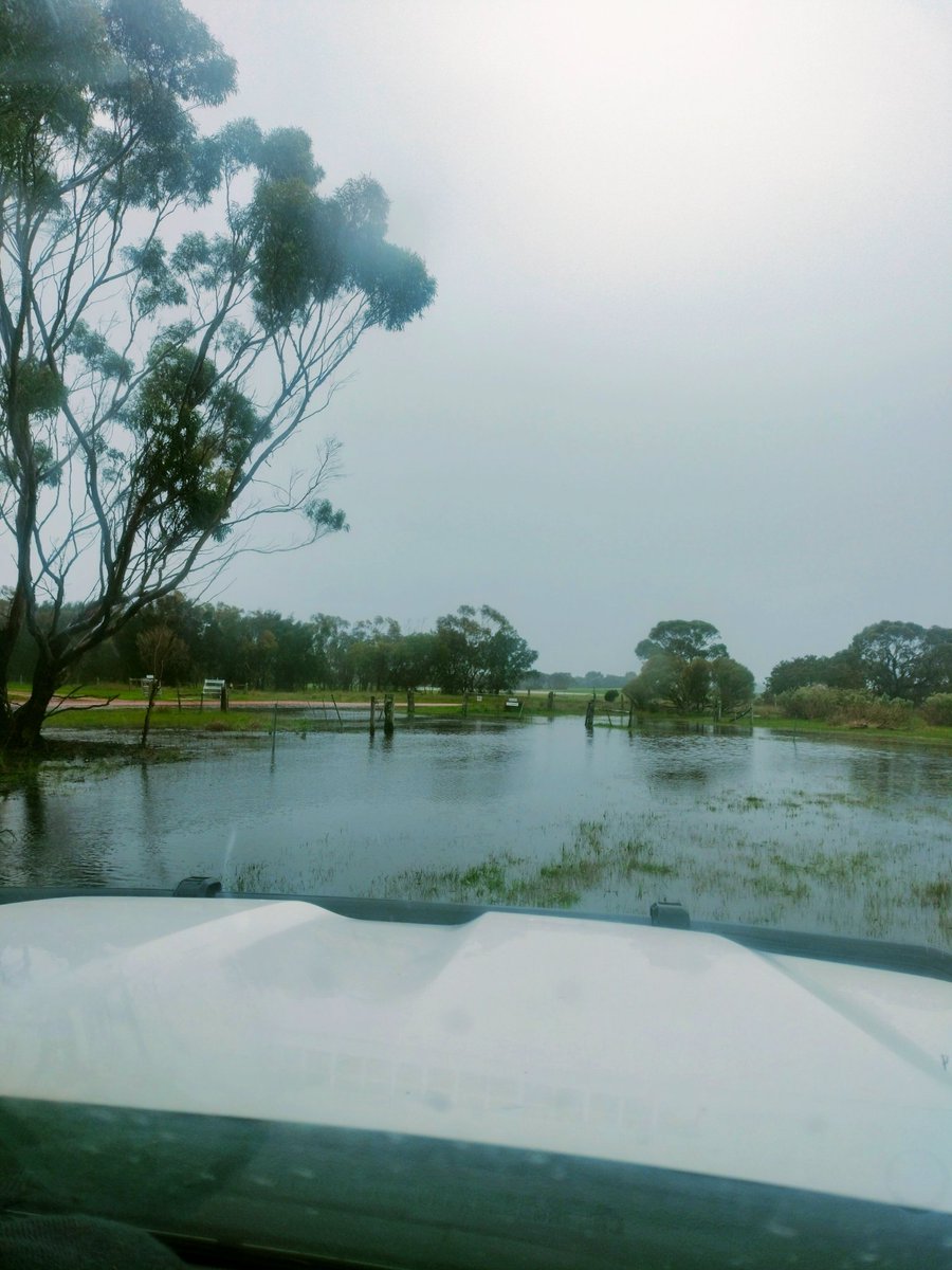 When it's a bit wet and you need to go open the gate 😅🏊. 👢or🩴?