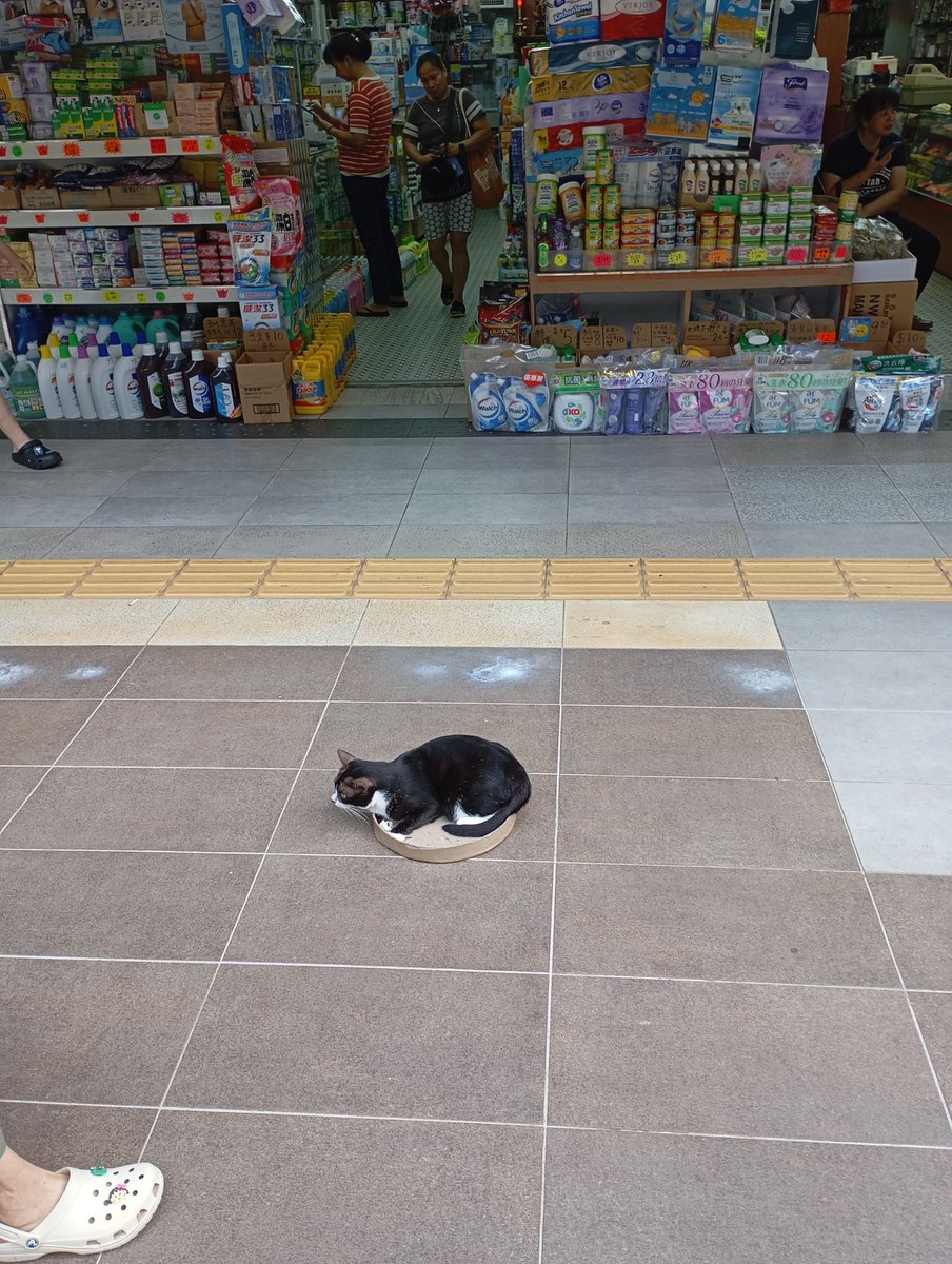 ck50561's tweet photo. I sleep wherever I want. https://t.co/1p4f8cjsLx