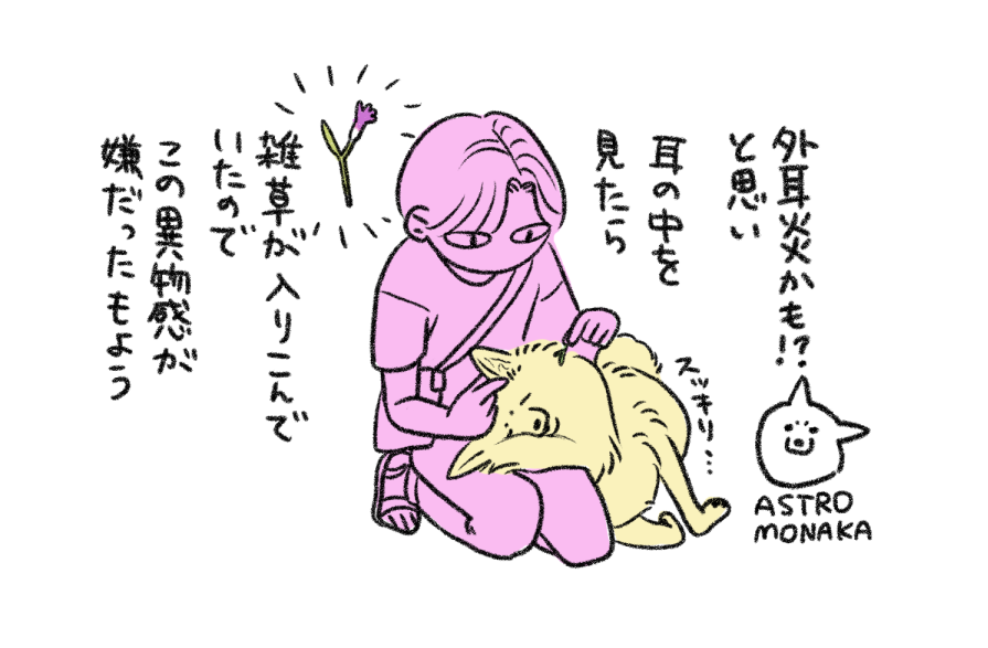 舞台裏 