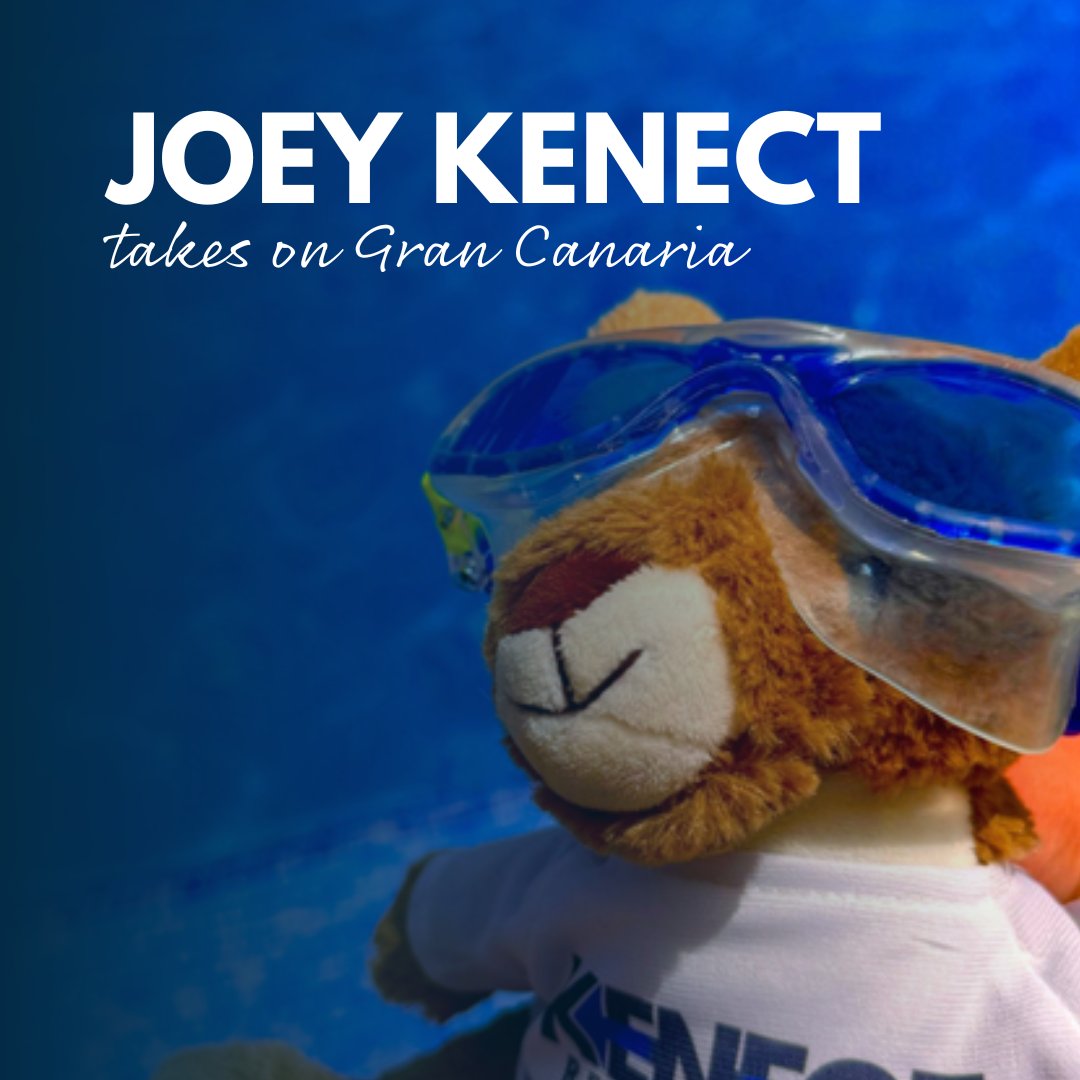 Joey has taken a well deserved rest in Gran Canaria this week, but is now back in the office and ready to help YOU find your next job.

Complete our online application today: kenectrecruitment.co.uk/register-for-w…

#recruitment #Transport #newjob #jobsearch #hiringnow