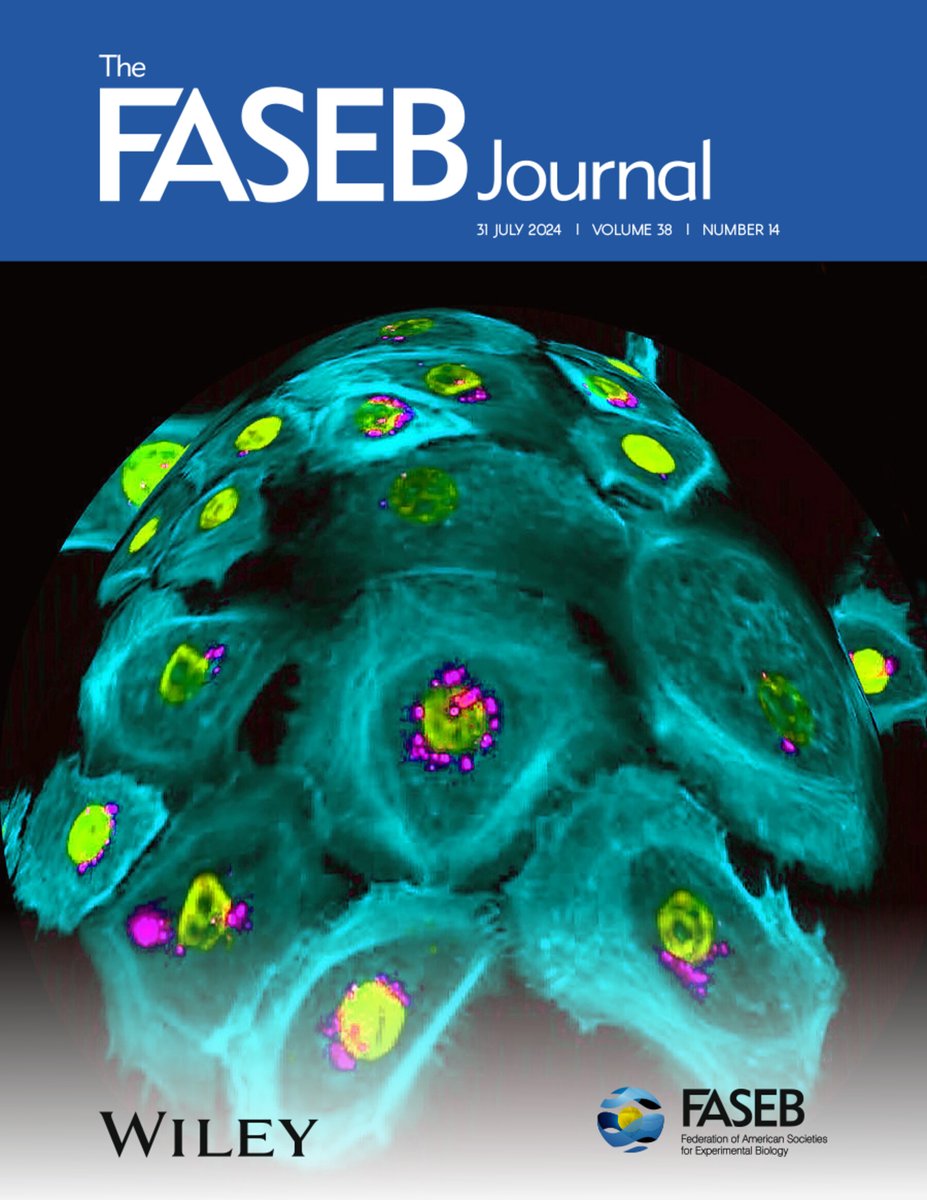 IMGGE publication on the front cover of the FASEB journal

imagine.imgge.bg.ac.rs/handle/1234567…