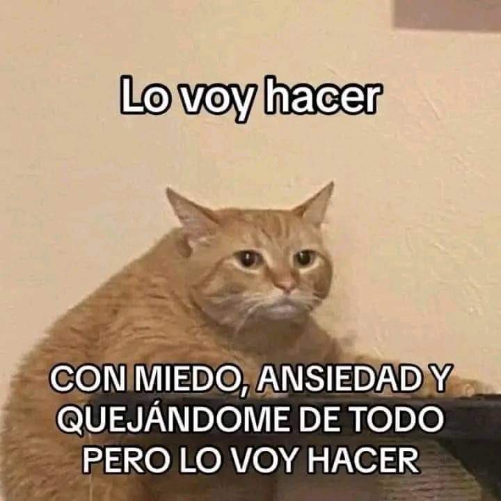 itextosoff's tweet photo. https://t.co/3s85p6KNBV