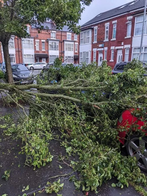 MENnewsdesk's tweet photo. A tree has fallen onto parked cars this morning - latest travel updates https://t.co/9waDdIfVvZ https://t.co/SGaIqqe2Nn
