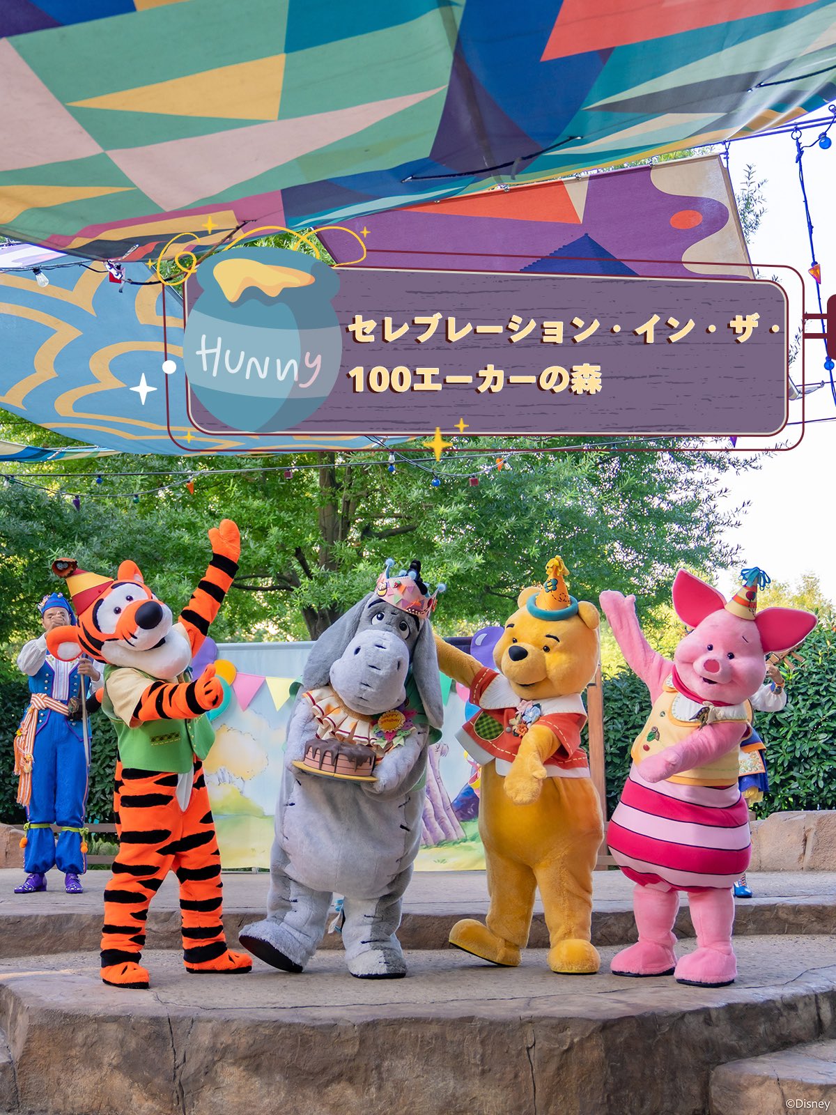 ディズニー100 エポック くまのプーさん　10枚限定 ディズニー100 EPOCH 世界10枚限定 プーさん シリアル入り