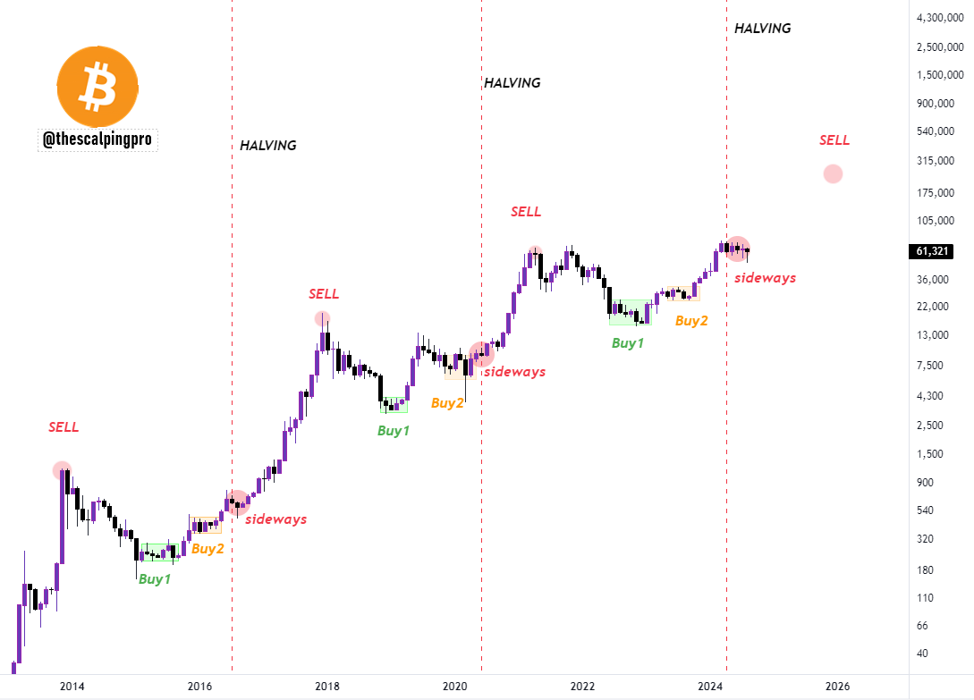 thescalpingpro's tweet image. #Bitcoin bull run incoming 🚀