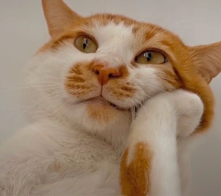 Kpop4mation's tweet image. MINDSET CỦA CON GÁI ”CHỦ ĐỘNG LÀ MẤT GIÁ”, ”THÀ BỎ LỠ CHỨ KHÔNG CHỦ ĐỘNG”? #threads #threadsforthreads  threadscomedy.blogspot.com/2024/08/mindse…