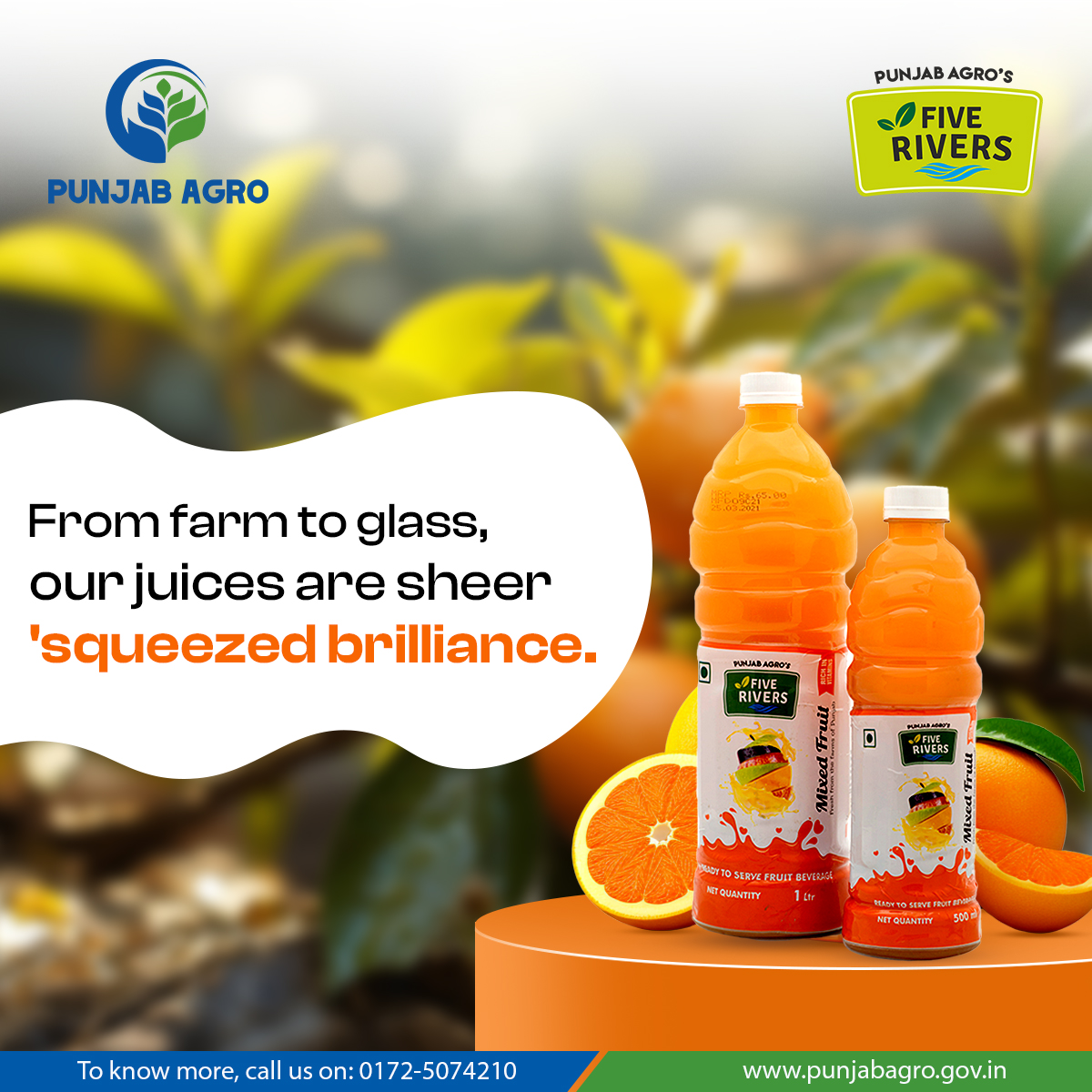 PBAgroOfficial's tweet image. Crafted with care, our juice delivers unmatched freshness. 

Sip the essence of goodness! Now on ONDC—click 👉ln.run/6ci35 to enjoy! 🍹✨

Visit: punjabagro.gov.in 🌐 or call: 01725074210 

#FreshnessUnleashed #NatureInEverySip #PureGoodness #PunjabAgro