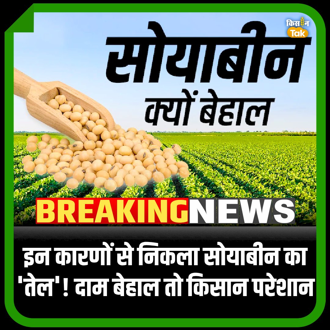 इन कारणों से निकला सोयाबीन का 'तेल'! दाम बेहाल तो किसान परेशान 
<a href="/ManBtt/">Manoj Bhatt</a>  
#Soybean #price #kisantak #aajtak 
kisantak.in/knowledge/stor…