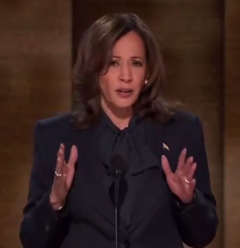 thelovedotone's tweet photo. 💙💙💙 #PresidentHarris showed up in #Chicago tonight. Thank you, #Biden #Kamala4President2024 #KamalaHarris #TheMiddleClass https://t.co/sTTwMyLpwR