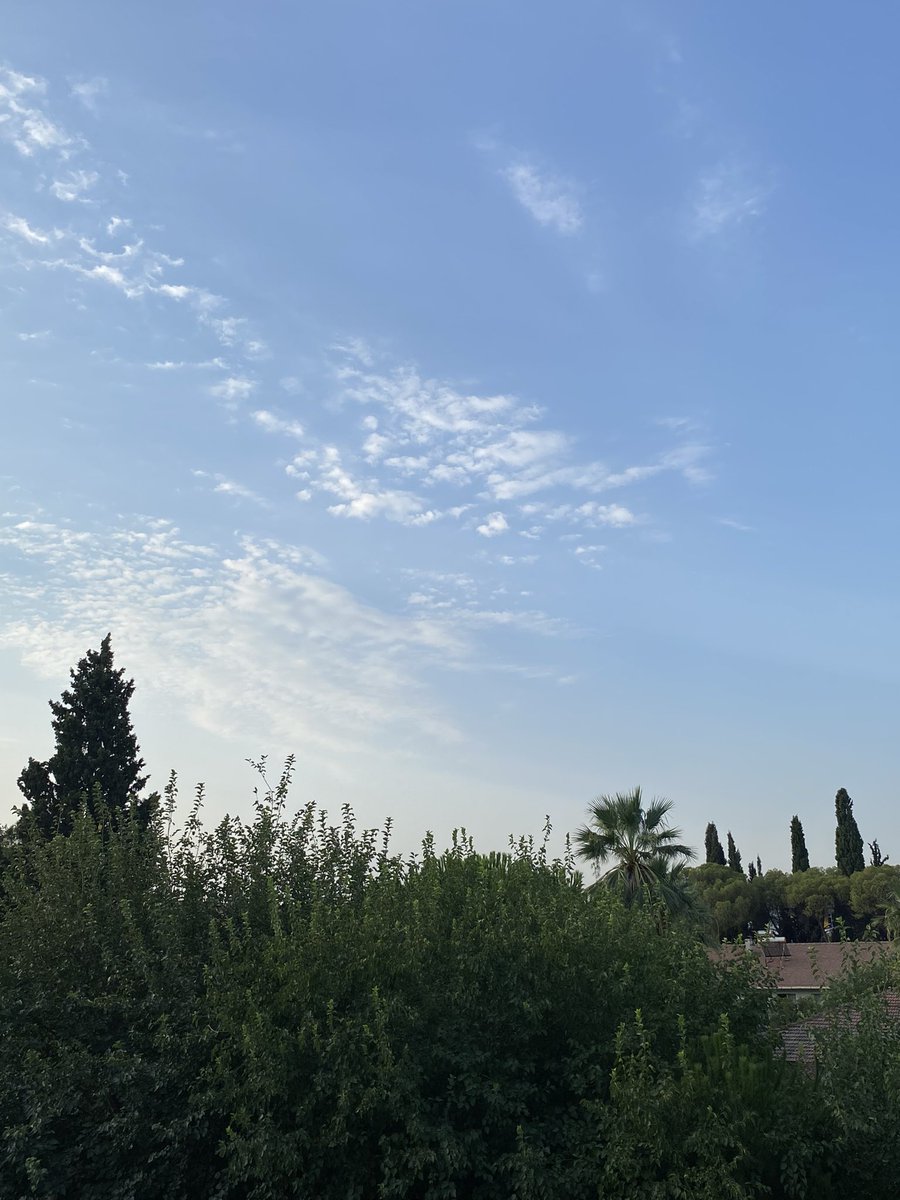 gün Aydın 🌻🧡