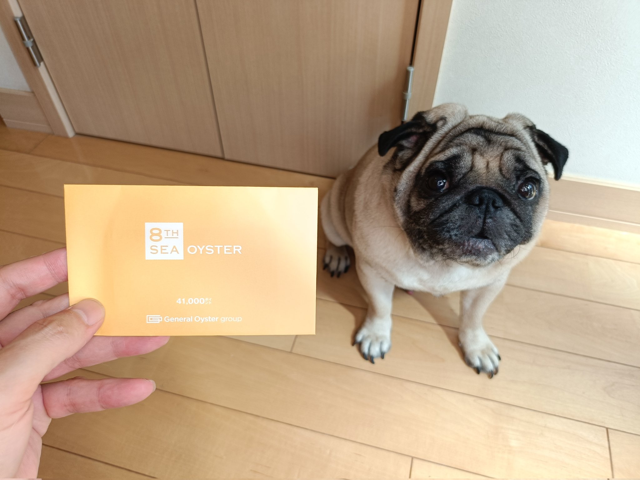 花*花 Z/X ゼクス はなはだしく 花の絨毯 フォスフラム SEC - バット