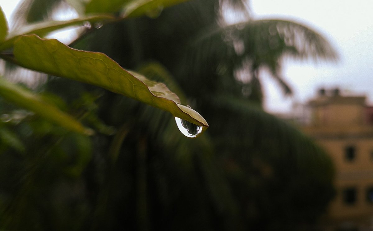 ithefelizer's tweet photo. Drop Some drops 💦 
Re-Posting 🧡 
#ShotOnSnapdragon #madewithlightroom https://t.co/Oh64sKFJCY