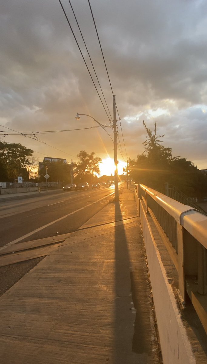 howlmeta's tweet image. Now Where #traintrack ##sunset #dogdaysofsummer #august #urban
youtube.com/shorts/c9kr82_…