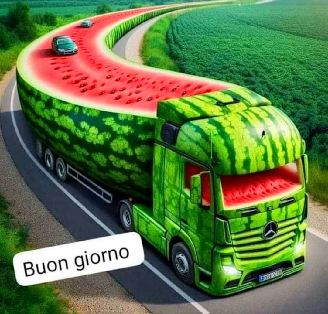 MARIO CANZONIERE tweet media