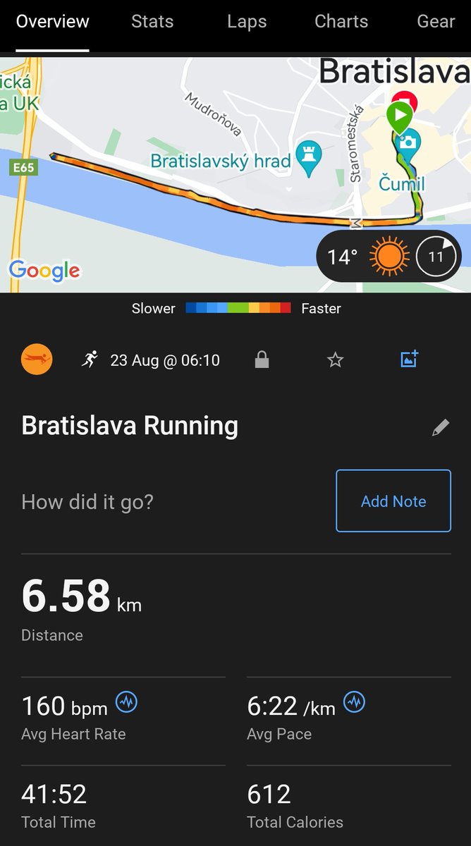 Morning running session with <a href="/AlexMichaelide3/">Alex Michaelides/Αλέξανδρος Μιχαηλίδης</a> #EFA2024