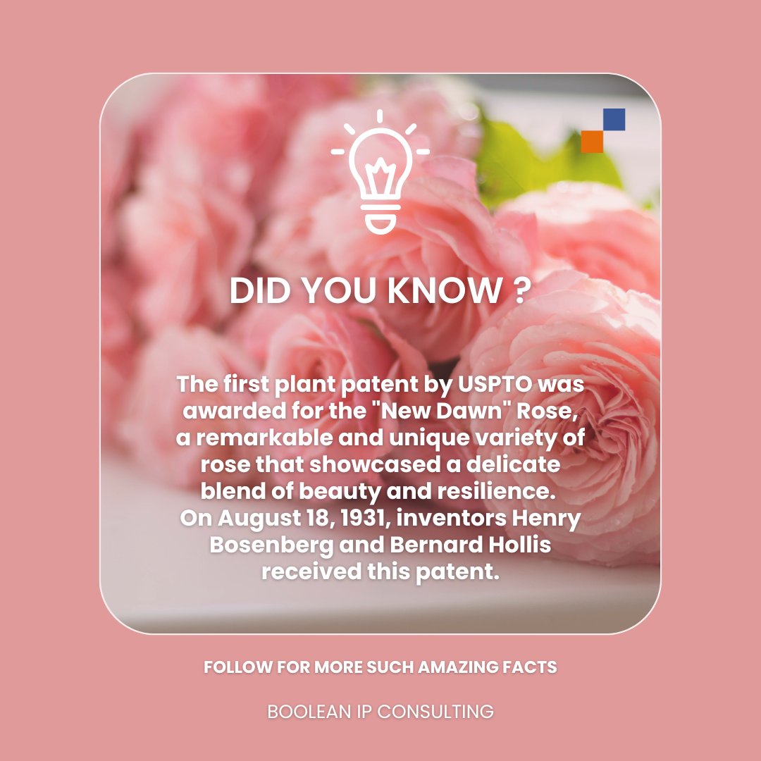 boolean_ip's tweet photo. Did you know?

The first plant patent in the United States was granted under the U.S. Plant Patent Act of 1930, which allowed plant breeders to patent new and distinct varieties of plants. 

Follow for more amazing IP Stories.

#firstplantpatent #DYK #IPstories #booleanip https://t.co/iJoI1HSZKH