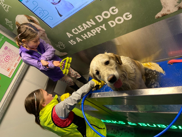Dr. Irene Hartigan (@ihartigan) on Twitter photo Looking forward to presenting this morning on behalf of <a href="/uccnursmid/">UCC School of Nursing & Midwifery 🌈</a> initiative <a href="/mycaninecompani/">My Canine Companion</a> PAWS <a href="/UCC/">UCC Ireland</a> come join us at 1030 WGB rm G05 to hear all about our University Dog Programme & meet my co-presenter who had special treatment to get ready for her EAIR debut #EAIR Looking forward to presenting this morning on behalf of <a href="/uccnursmid/">UCC School of Nursing & Midwifery 🌈</a> initiative <a href="/mycaninecompani/">My Canine Companion</a> PAWS <a href="/UCC/">UCC Ireland</a> come join us at 1030 WGB rm G05 to hear all about our University Dog Programme & meet my co-presenter who had special treatment to get ready for her EAIR debut #EAIR