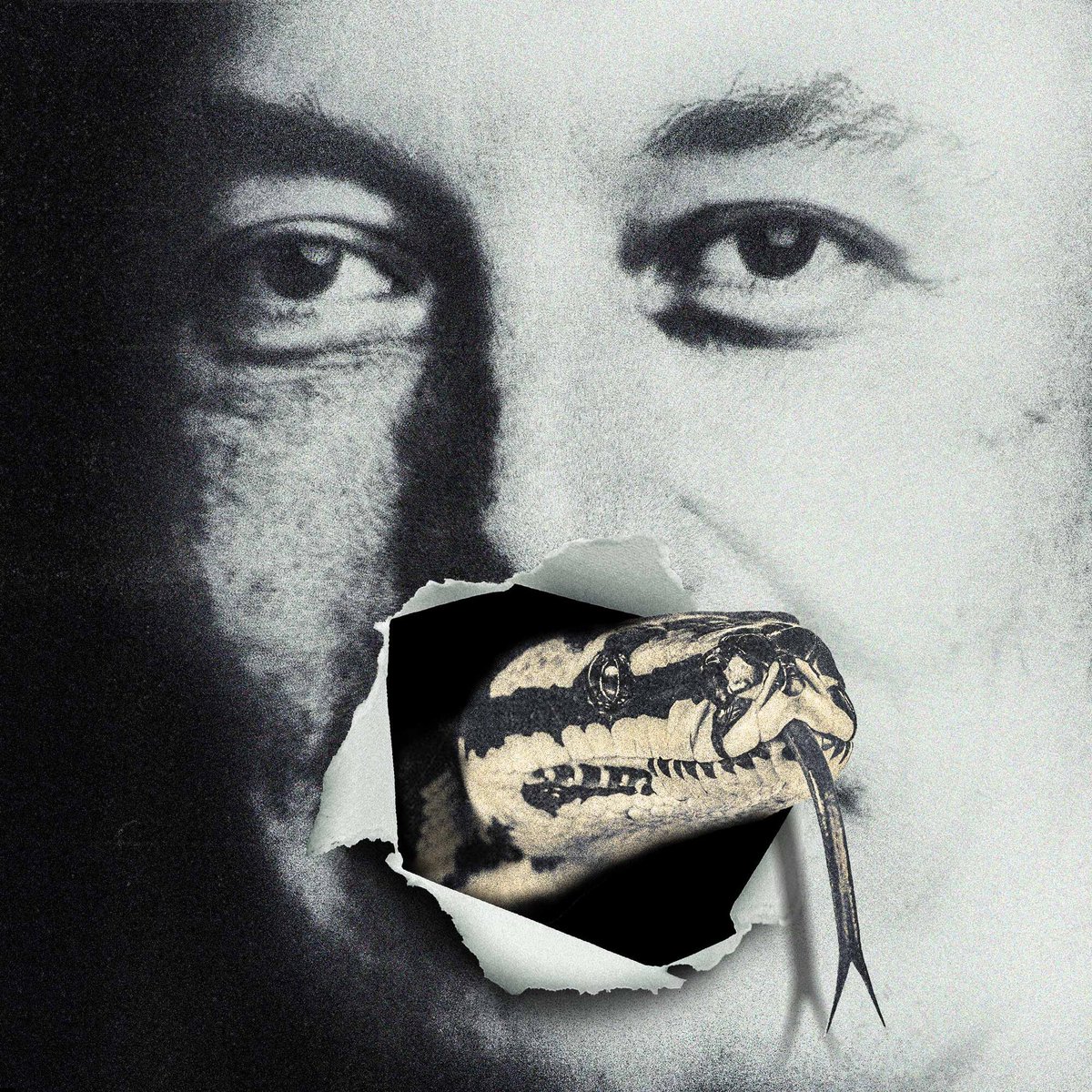 📱X puede ser una víctima de la guerra que Elon Musk tanto desea.

La antigua Twitter acumula críticas por su transformación en la máquina de expansión de la ultraderecha internacional.

Por @pelorduy 
Ilustración <a href="/byronmaher/">Byron Maher</a> 
elsaltodiario.com/internet/x-pue…