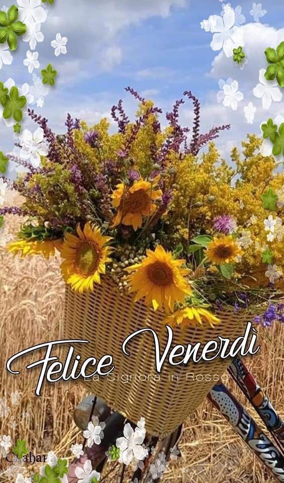 RITABIANCHi56 tweet media