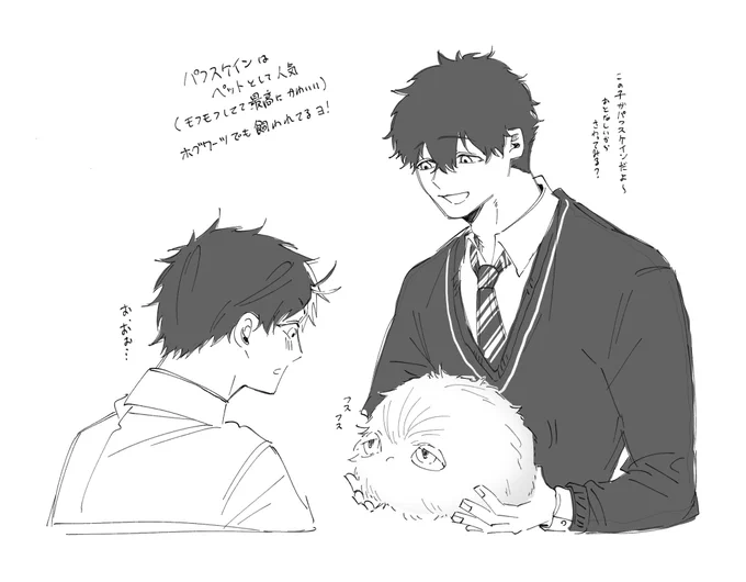 ハ○ポタパロ②落書き 🐢🌸 