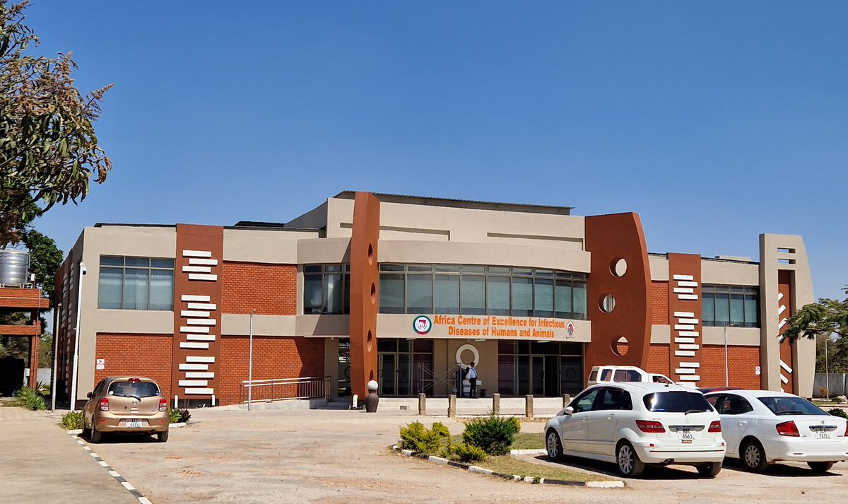 A newly repainted Africa Centre of Excellence for Unfectious Diseases in Humans and Animals (ACEIDHA) <a href="/UnzaOfficial/">The University Of Zambia</a> <a href="/Ace2Africa/">Africa Centers of Excellence</a> <a href="/AceidhaZ/">aceidha_zambia</a>