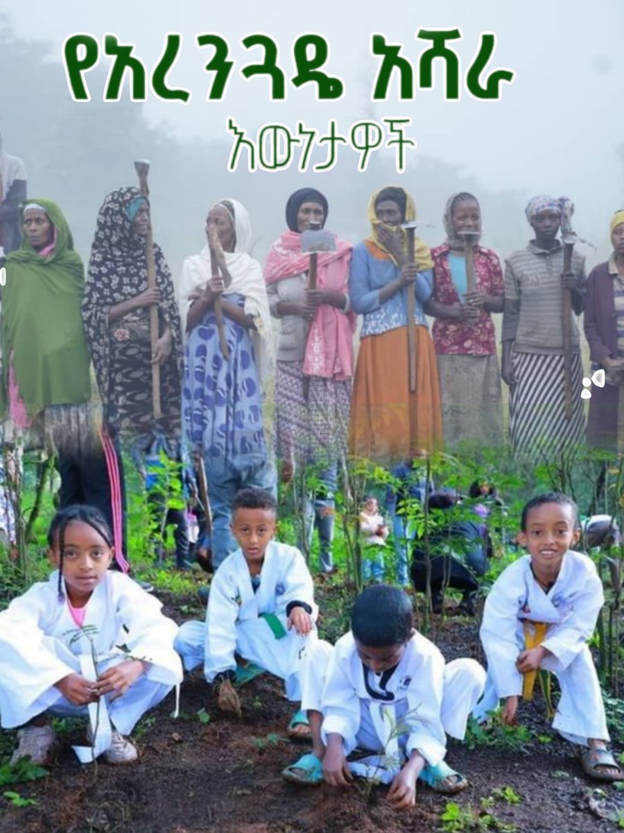 ToffeeTofi20636's tweet photo. This is what unity can achieve! #Ethiopia planted over 600 million trees in one day. #GreenLegacy #AbiyAhmedAli @AsstSecStateAF @EUSR_Weber @JosepBorrellF @StateDept @FCDOGovUK @AFP @UKParliament @EU_Commission @eucopresident @vonderleyen  https://t.co/jOX36XTG6L