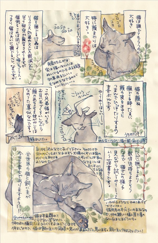 過去に描いたものをスキャナで取り込みました。猫を撫でるときにつまんでやると喜ぶ子もいるよ、って言う話。#裏花火落書 #うちの犬猫覚書 