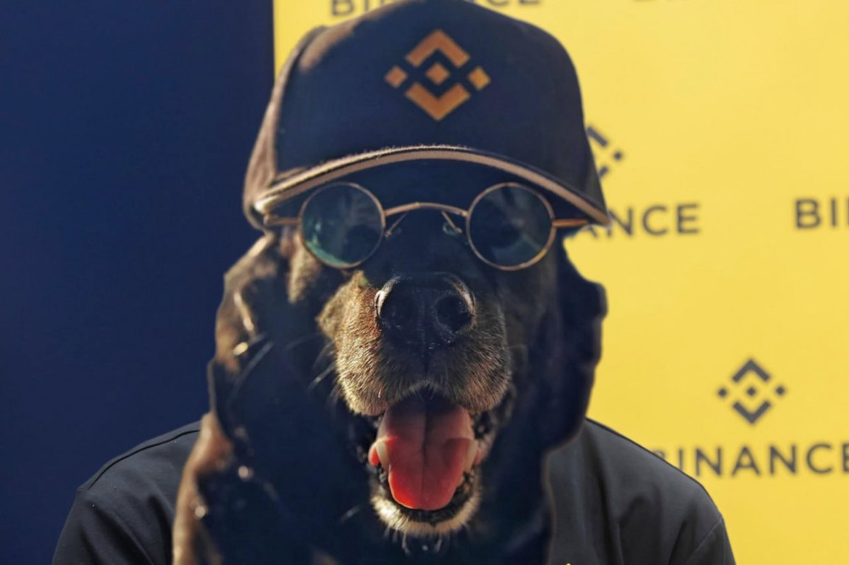 Realehsaurr's tweet photo. @four_meme_ @binancedogbsc will take the throne of BSC this cycle.

#binancedog billions. https://t.co/7qEjN18HRF