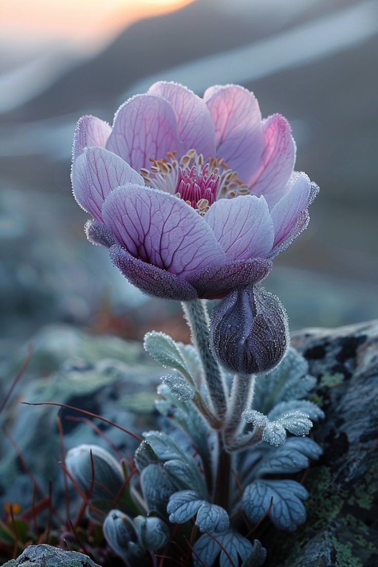 ____🌞☕🌹

Good morning X friends 

Change in life does not come by thinking alone.

But it can only happen if you work hard for it..!!

May the freshness of today keep you motivated and joyful all day

Have a blessed day with health much love, happiness and be kind 💜🟣