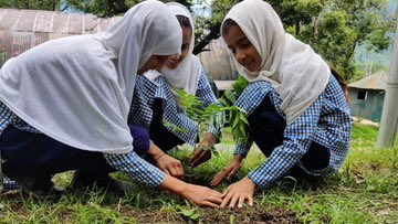 sara_0756's tweet photo. Calling all tree enthusiasts, leaf lovers, and forest fanatics! Let's unite and make the world a wilder, greener, and cooler place.
#GoGreen   #SaveTrees   #Environment #Nature #SaveTreesSaveEarth     #GreenKashmir https://t.co/o0zALUTNQX