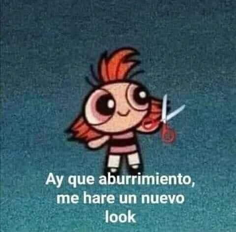 Montse_Zc's tweet photo. *Hoy me fui a hacer el cabello*
Al inicio: no lo quiero tan cargado, tan rubio 

Cuando termino: sabes que mejor si házmelo todo rubio ya

(Así voy a quedar un día de estos) https://t.co/v381QtqIWv