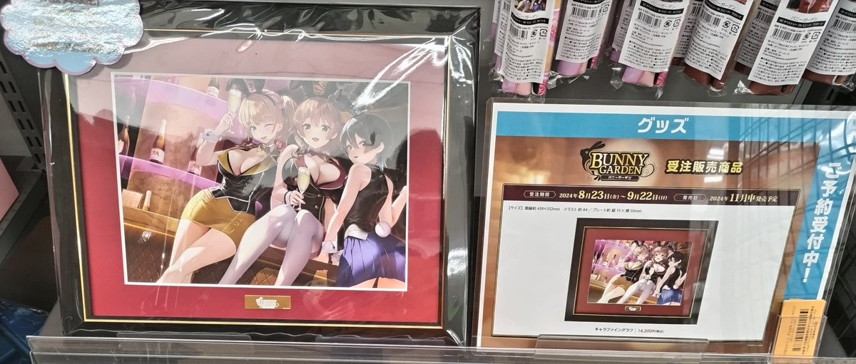 バニーガーデン　受注生産品ゲーマーズ限定　キャラファイングラフ　原画ボード 完全受注生産品 バニーガーデン 秋葉原ゲーマーズ期間限定 キャラ