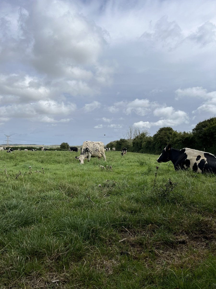 Meg Fenn tweet media