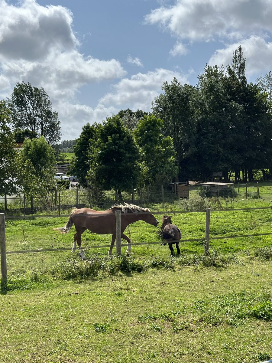 Meg Fenn tweet media