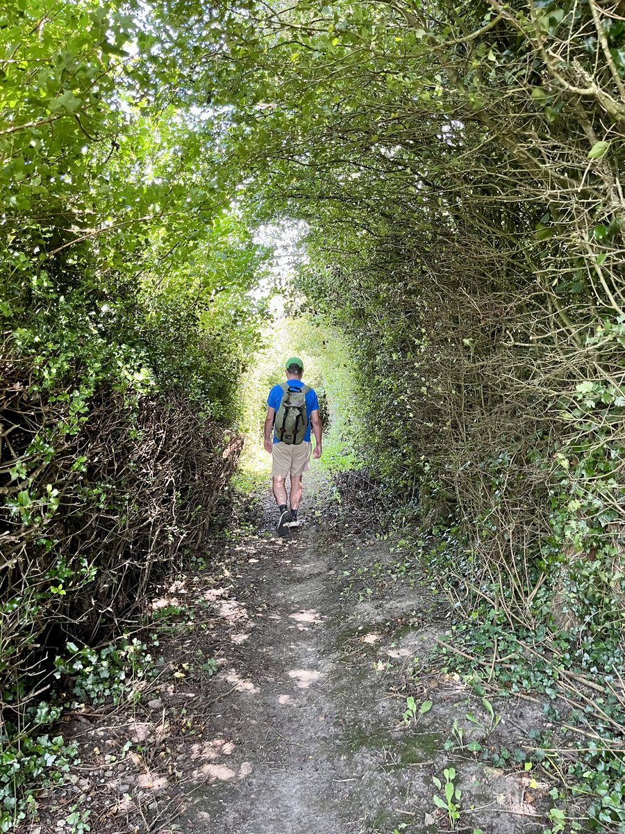 Meg Fenn tweet media