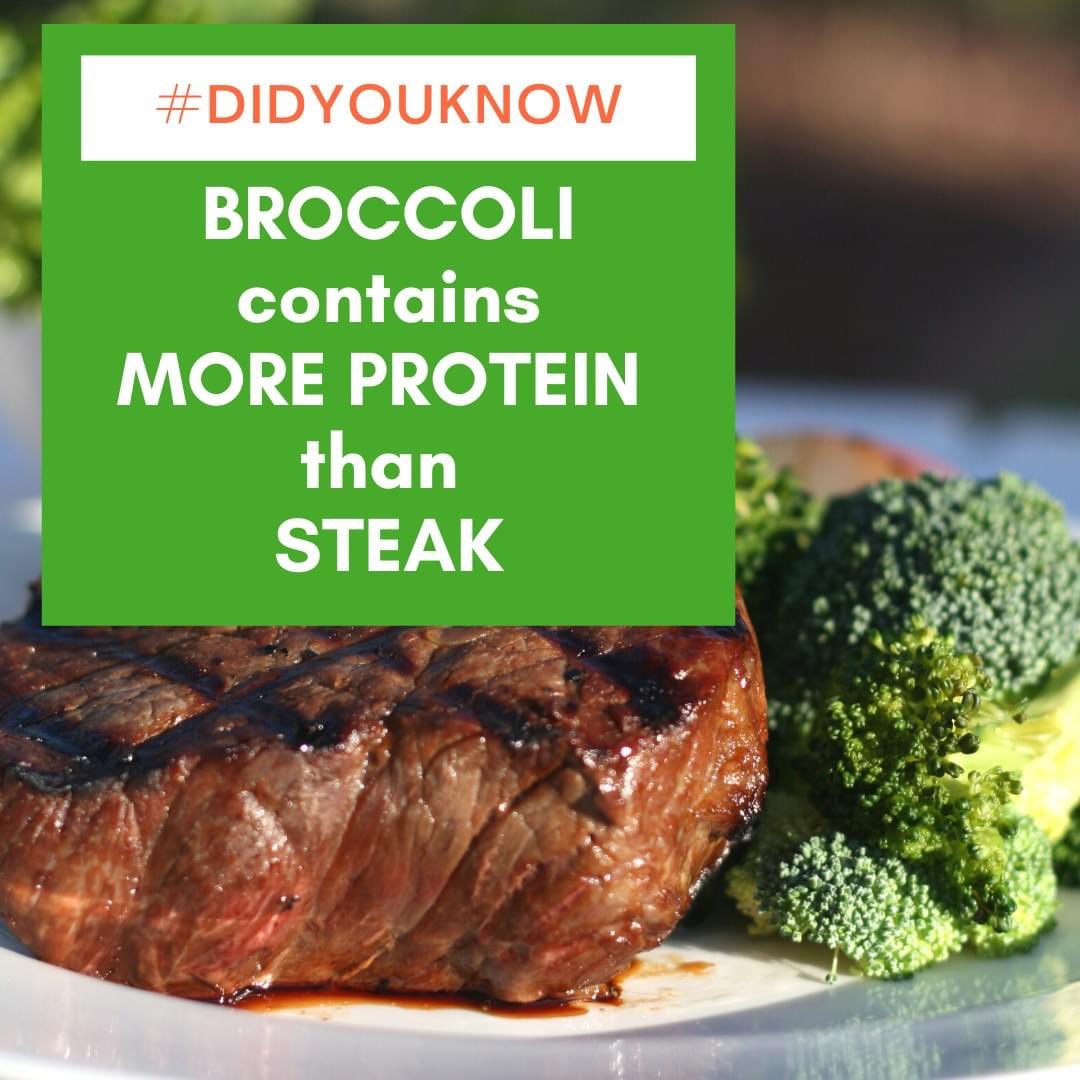 #DidYouKnow 
Calorie for calorie, there is more protein in broccoli than steak. And it doesn’t come with all those saturated and trans fats or cholesterol, so you can get all the protein you need with a significantly lower risk of cardiovascular disease with this healthy food.