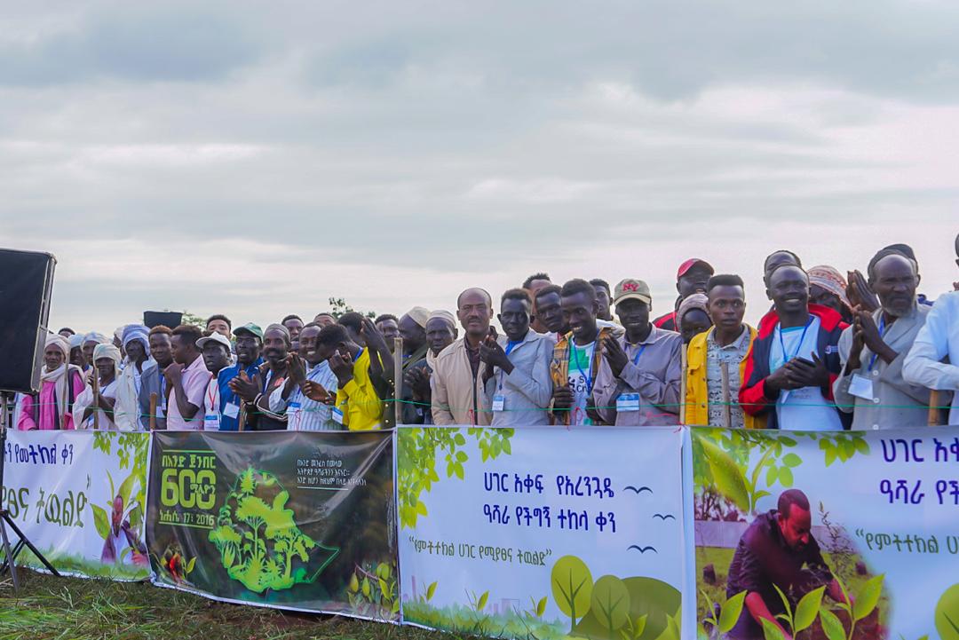 On this historic day, we have gathered in the city of Assosa for the one-day planting event, in a region known for its natural abundance, mineral wealth, and fertile lands. With the conclusion of today's event, we will have planted around 40 billion seedlings since the launch of