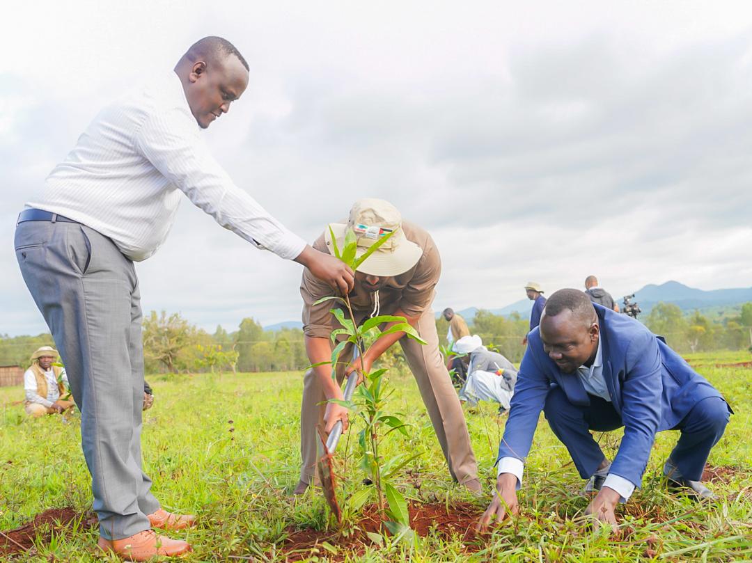 AbiyAhmedAli's tweet photo. On this historic day, we have gathered in the city of Assosa for the one-day planting event, in a region known for its natural abundance, mineral wealth, and fertile lands. With the conclusion of today's event, we will have planted around 40 billion seedlings since the launch of the Green Legacy program in 2019. Of the seedlings planted in the past year, 50% have been focused on food security, soil conservation, and combating land degradation. As we move forward, we must continue planting in areas like the Abay River Basin to support water conservation.