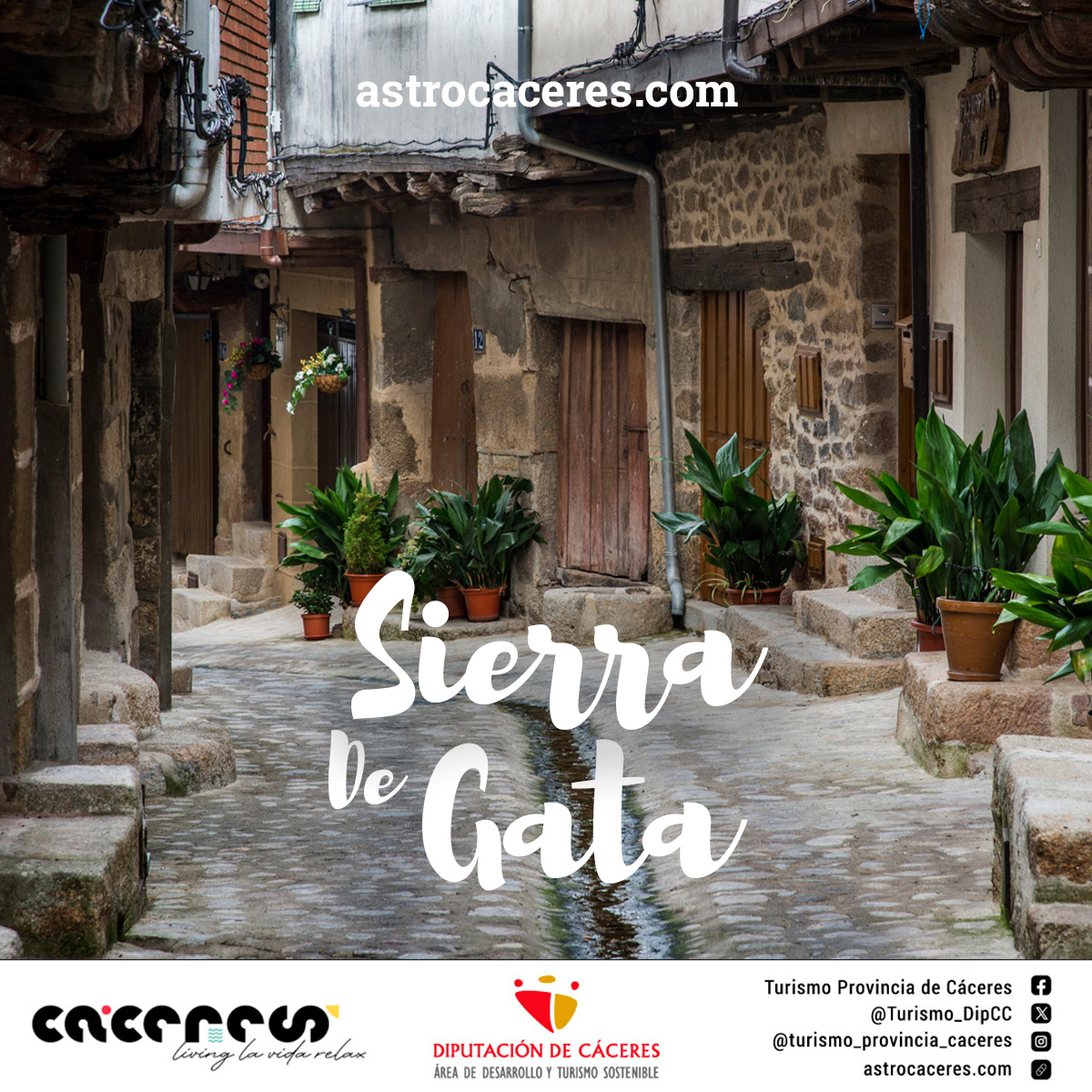 Turismo_DipCC's tweet image. 🧑‍🚀Espacio es tiempo, dijeron algunos físicos famosos. ¡A ver si es cierto!
🔭Hoy comienza #Astrocáceres24 en #Cilleros, en plena #SierradeGata, paraíso desde el que veremos cómo se forman los sistemas estelares y las galaxias.
astrocaceres.com
#livinglavidarelax