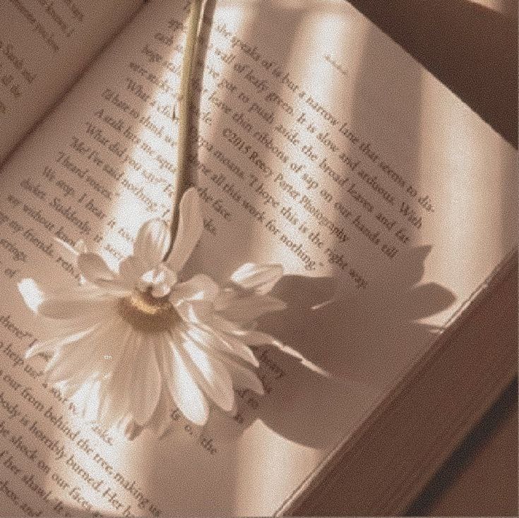 Gm💛😉
How many books do you read?😁