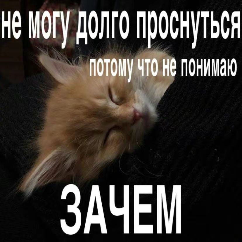 🐸жабья принцесса👑 tweet media