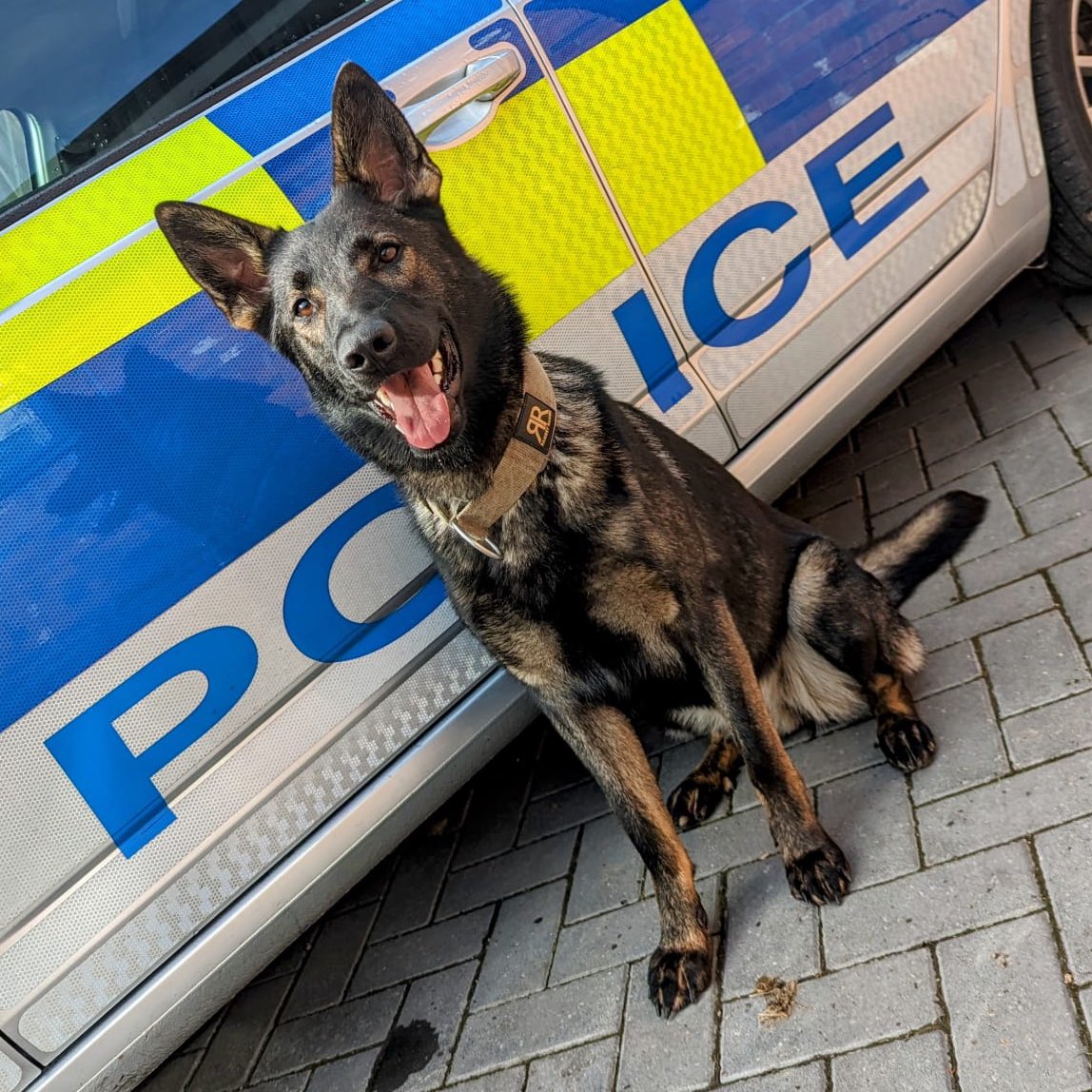 Thin Blue Paw Foundation tweet media