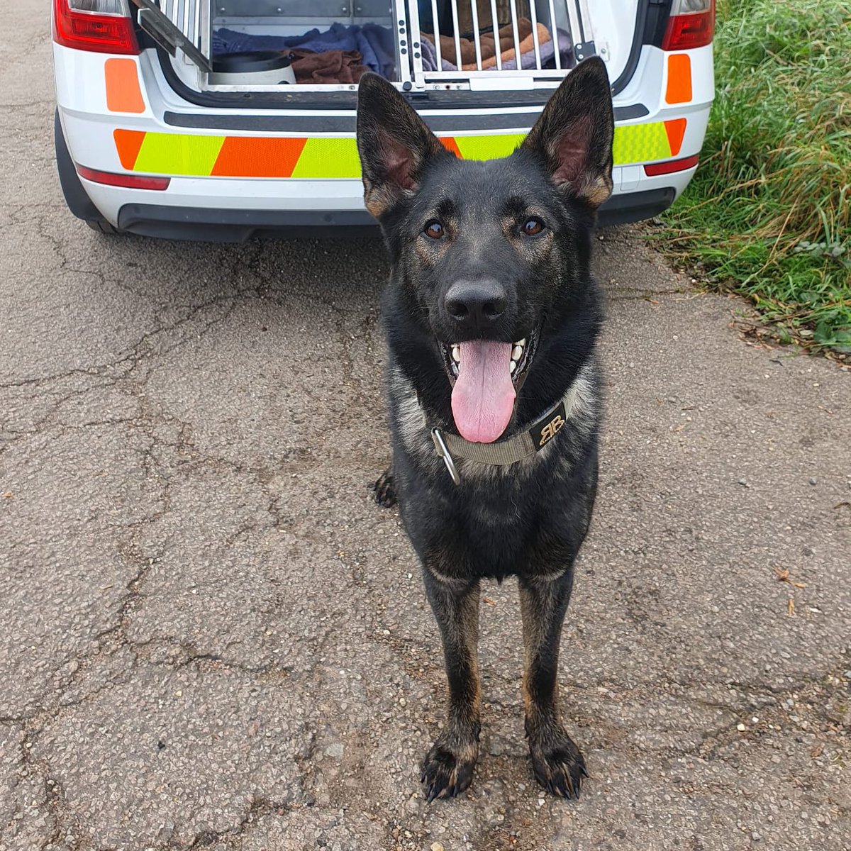 Thin Blue Paw Foundation tweet media