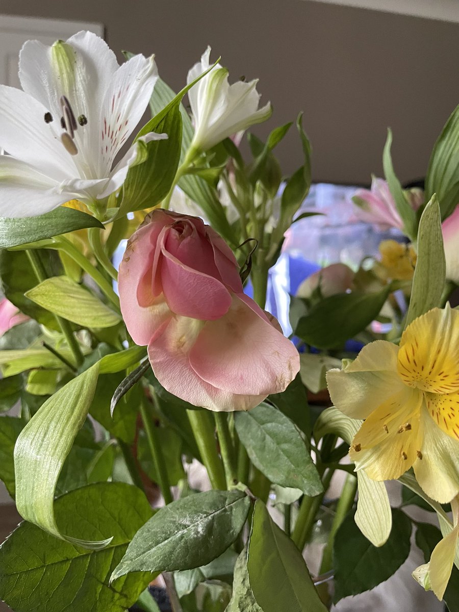 𝔸𝕄𝔼 tweet media