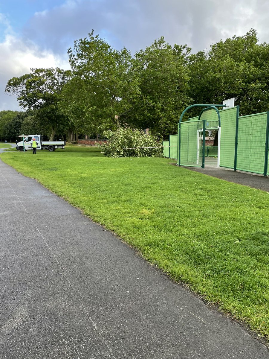 Central Park tweet media