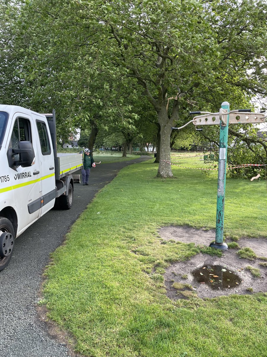 Central Park tweet media