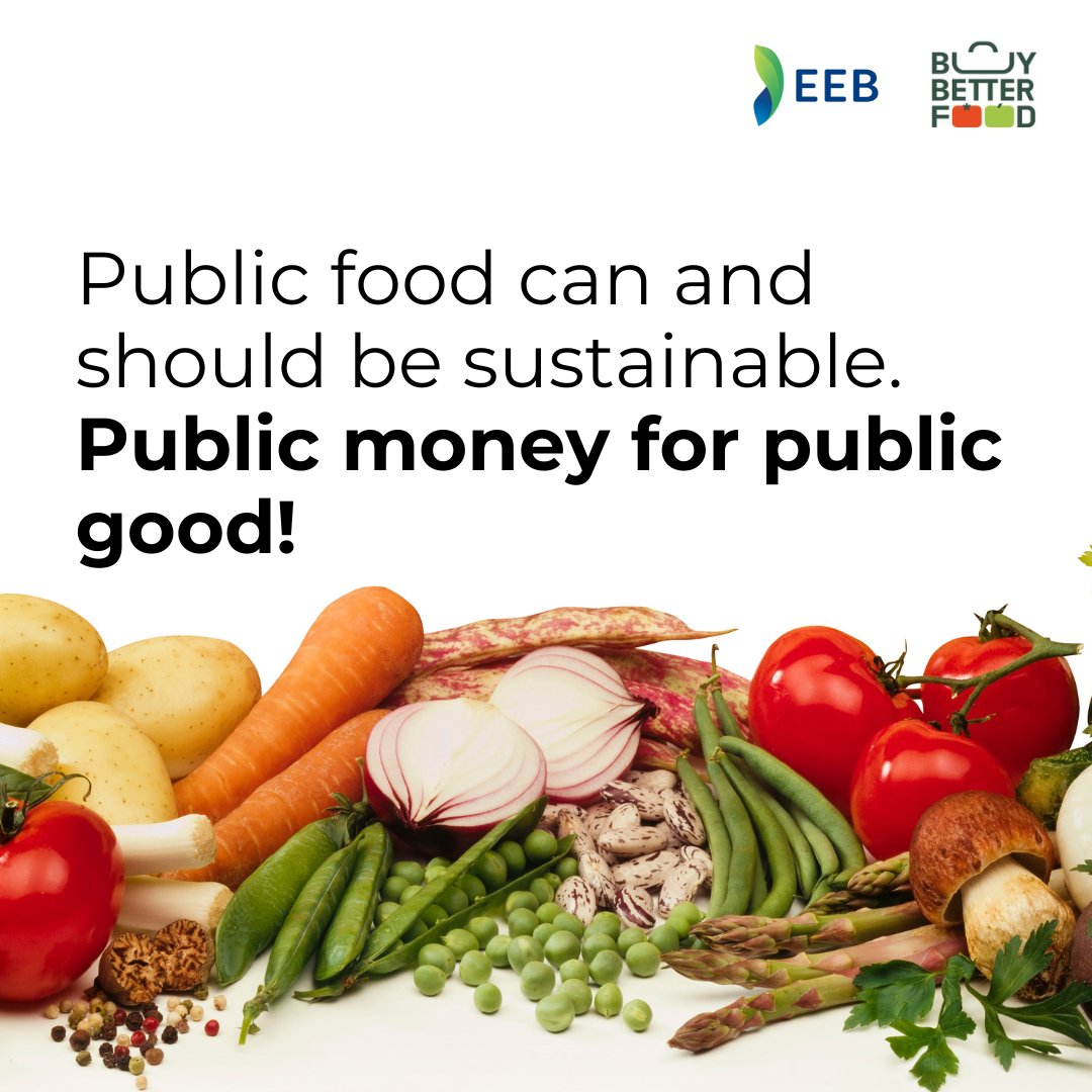 Our #FoodSystems are rotten💩🇪🇺

But some of the most powerful tools to fix them are also the simplest💡

Cue #SustainablePublicProcurement. At scale, it can ensure real sustainability while supporting ecosystems, health and local economies🧑‍🌾🥗

Read how👇
nutritioninsight.com/news/sustainab…