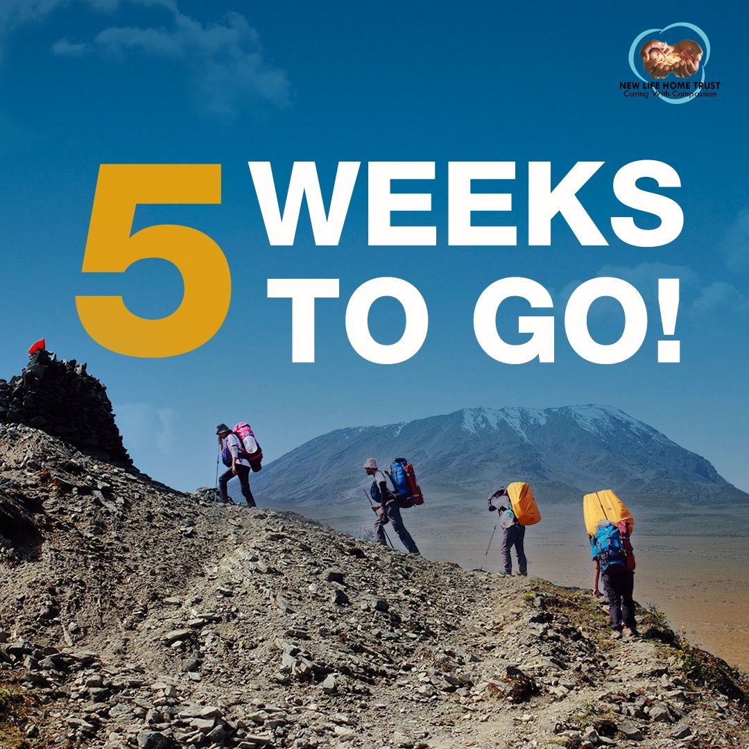 NewLifeHomeKE's tweet image. ⛰️ Just 5 weeks left! Every step counts as we prepare to climb Mt. Kilimanjaro. Your support ensures essential resources and care for children in need. Let's make a lasting impact together! #5WeeksToGo

#KilimanjaroClimbForLifeSummit #PamojaTwajali