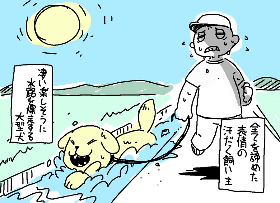 先日見た光景。 犬飼った事ないから分からないんだけど、大型犬は洗うの滅茶苦茶大変そう。