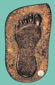 You can't skip without retweeting the foot print of our beloved prophet S.A.W